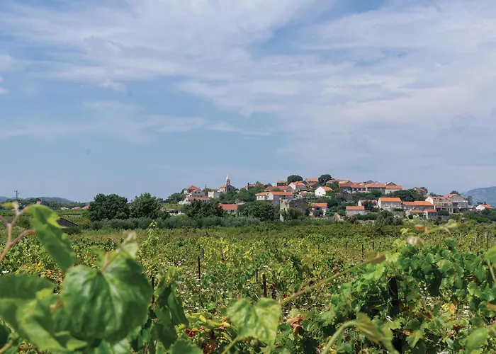 2 Bedroom Gorgeous In Lumbarda Korčula